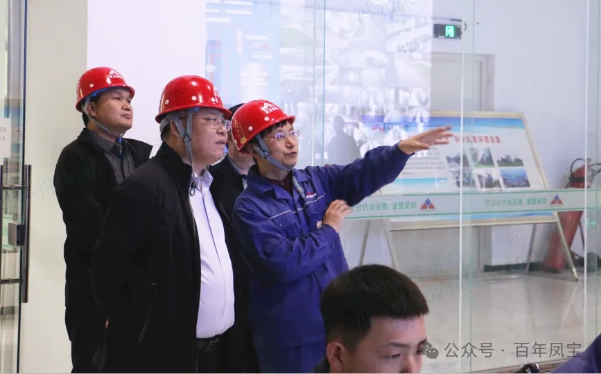 省工信厅运行监测协调局领导莅临时搏app官方版下载集团调研