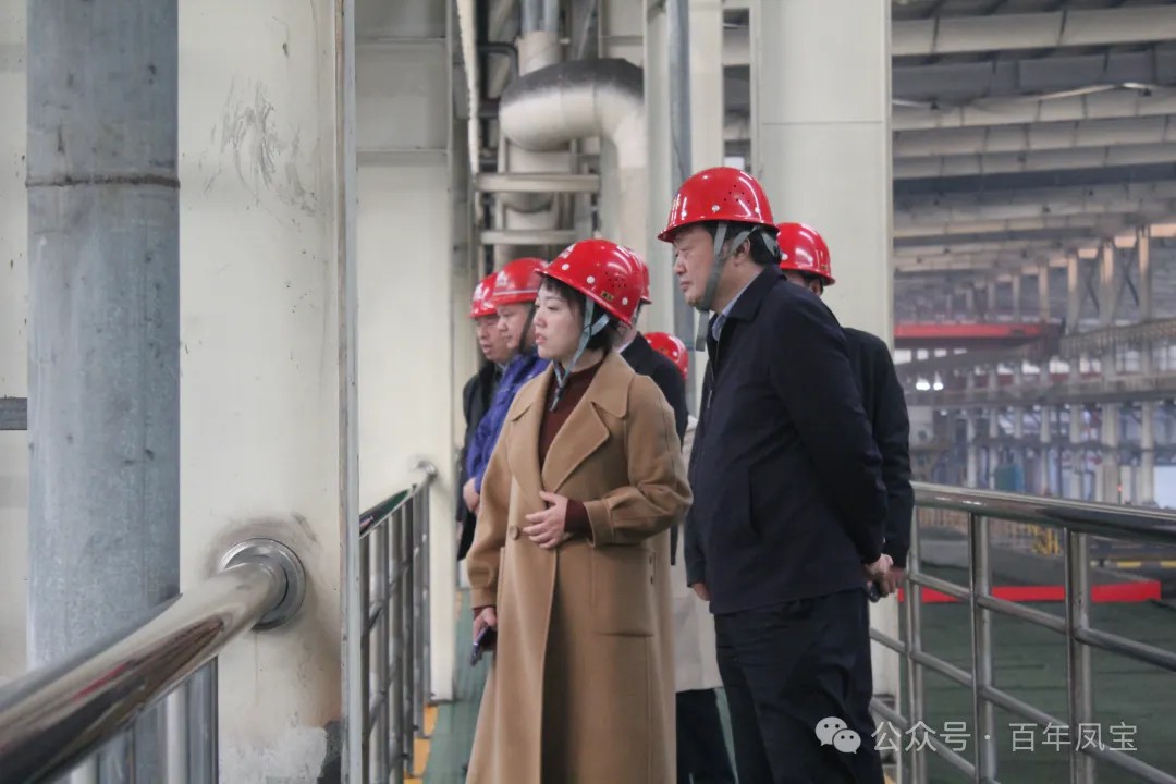 陈佳到时搏app官方版下载调研